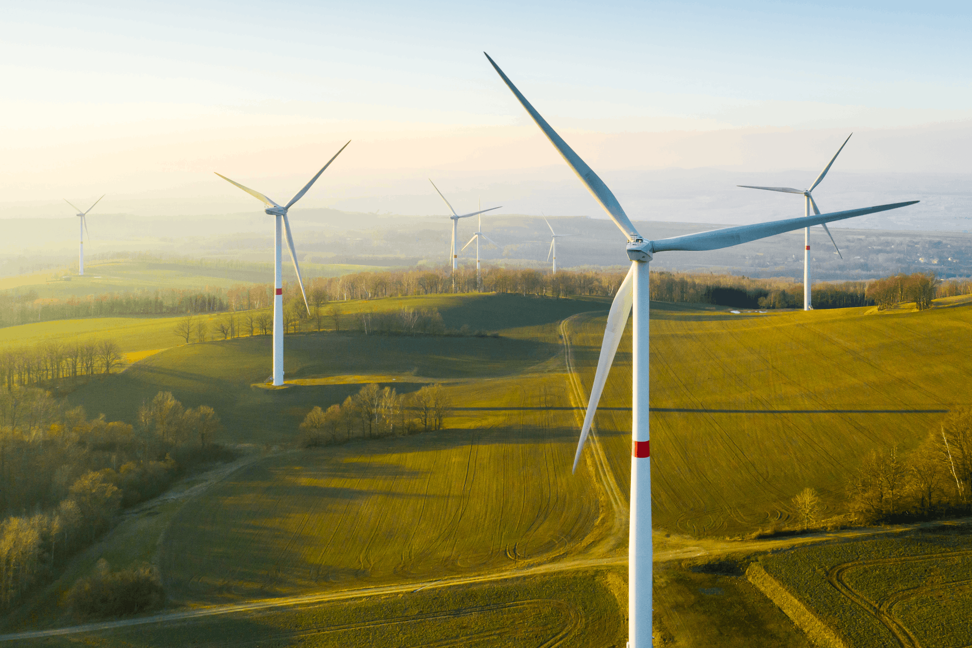 Windmühlen auf der Weide